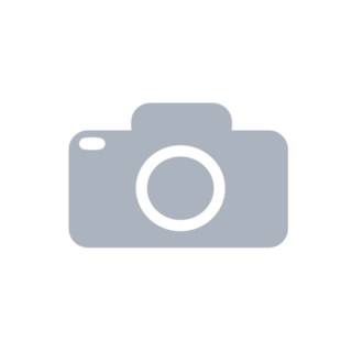 BANDEJAS SIM DE IP 11/ PLATEADO